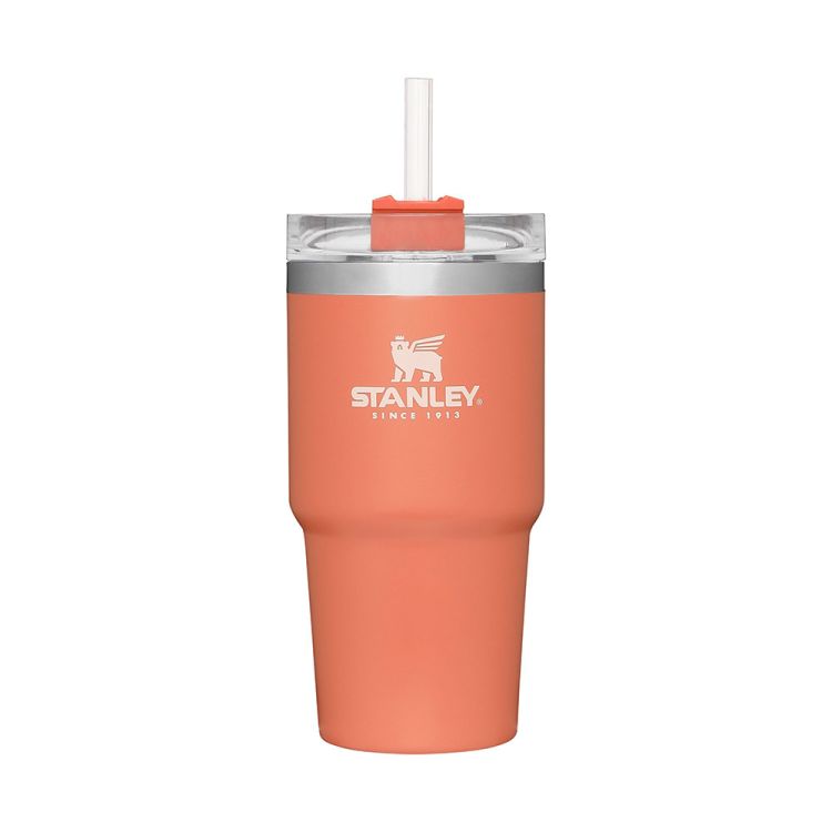 Stanley the Quencher H2.0 Flowstate Tumbler
