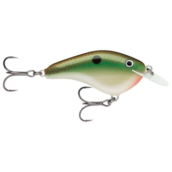 Rapala OG Slim 06 Medium Diving Flat-Sided Crankbait