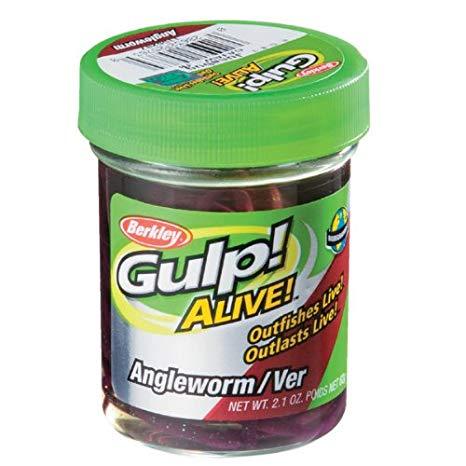 BERKLEY - GULP ALIVE ANGLEWORM MICRO