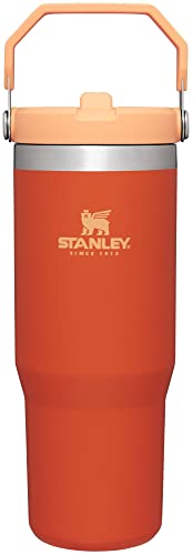 THE ICEFLOW FLIP STRAW TUMBLER | 30 OZ