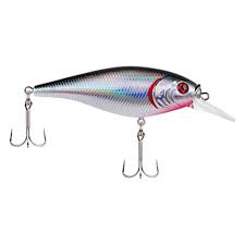 BERKLEY FLICKER SHAD (Part 1)