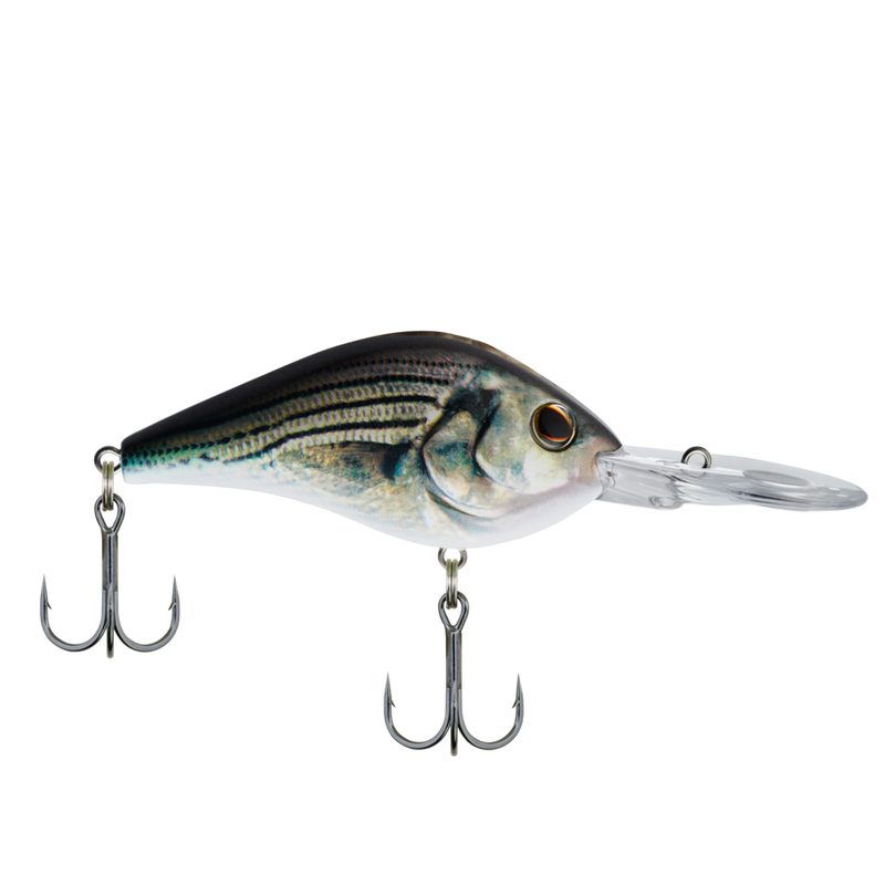 Berkley Powerbait HD Gilly Soft Plastic Lure