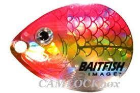 NORTHLAND BAITFISH SPINNER HARNESS