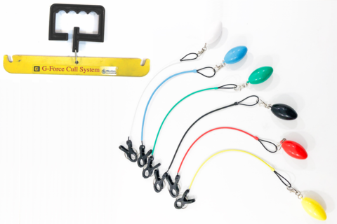 Scales Culling Systems and Weigh Bags - Tackle Depot