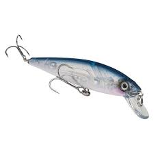 Strike King - Kvd Jerkbait