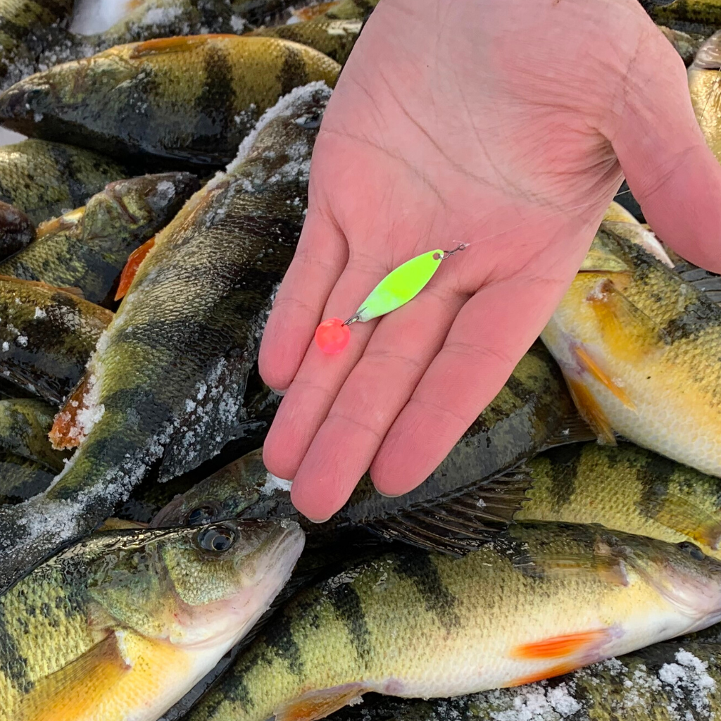 Cuillère à glace pour tacos Great Lakes Finesse (1 paquet)