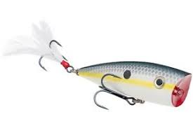 Strike King Kvd Splash Topwater Popper