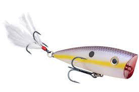 Strike King Kvd Splash Topwater Popper