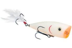 Strike King Kvd Splash Topwater Popper