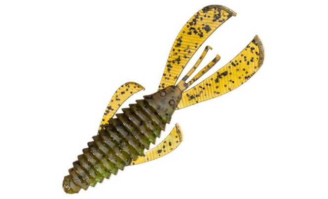 Bug de structure de la base de données de Strike King - Rage Tail