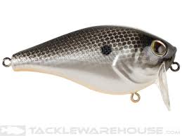 Berkley - Wakebull Wake