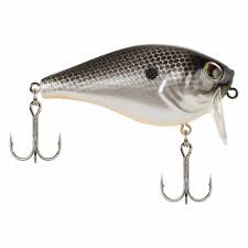 Berkley - Wakebull Wake