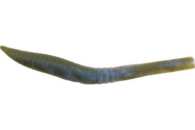 Berkley - Gulp Killer Crawler