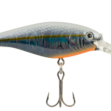 BERKLEY FLICKER SHAD (Part 1)
