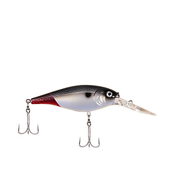 BERKLEY FLICKER SHAD (Part 1)