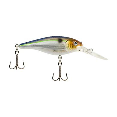 BERKLEY FLICKER SHAD (Part 1)