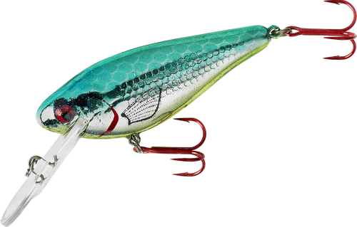 LINDY - WALLY SHAD