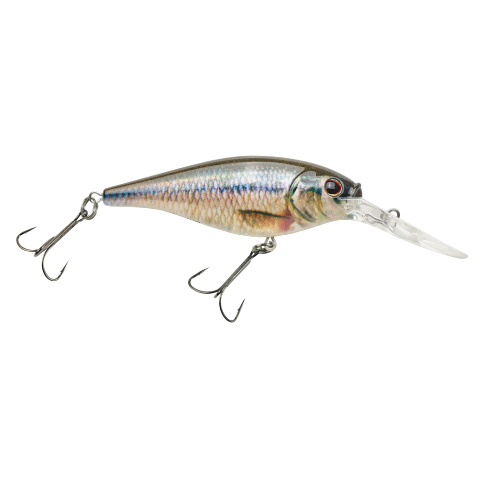 BERKLEY FLICKER SHAD (Part 1)