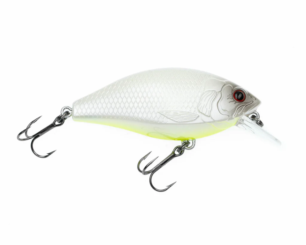 Freedom Rad Squarebill