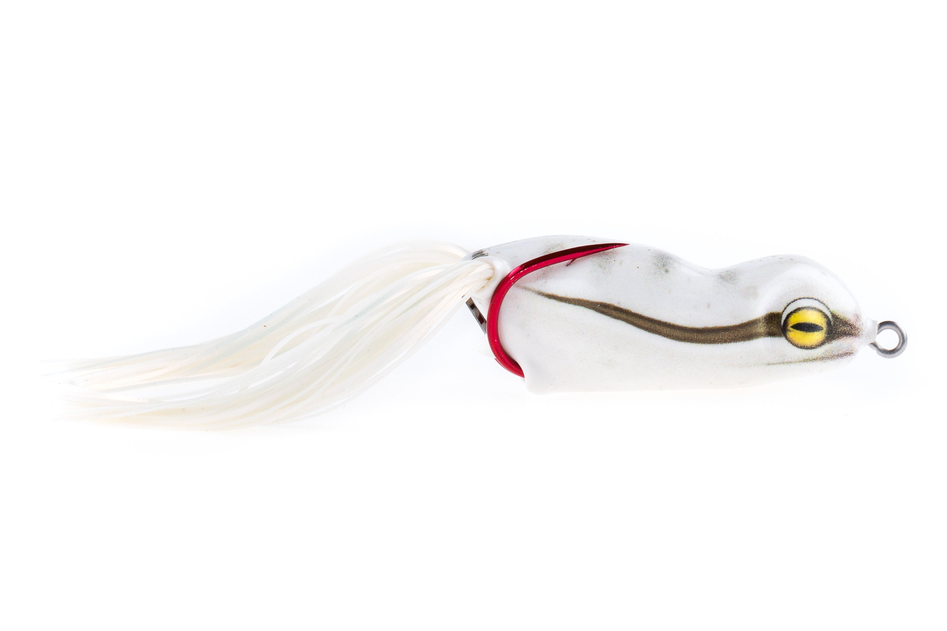 Lancement de la série Scum Frog