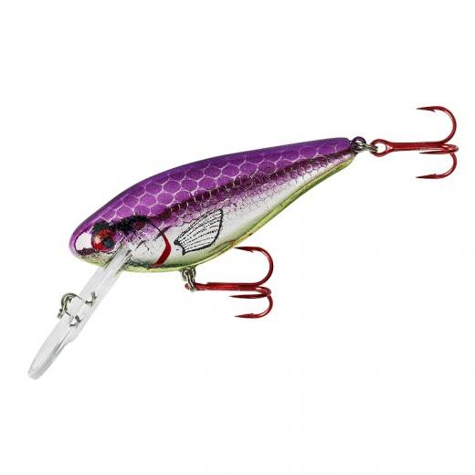 LINDY - WALLY SHAD