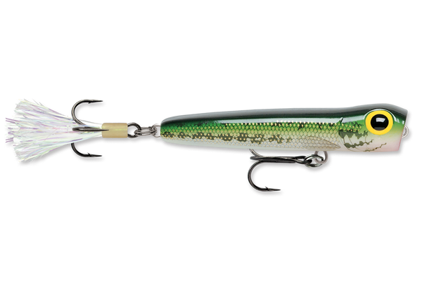  Buzz Bomb 00326, Blue Pearl 3XH : Fishing Topwater Lures And  Crankbaits : Sports & Outdoors