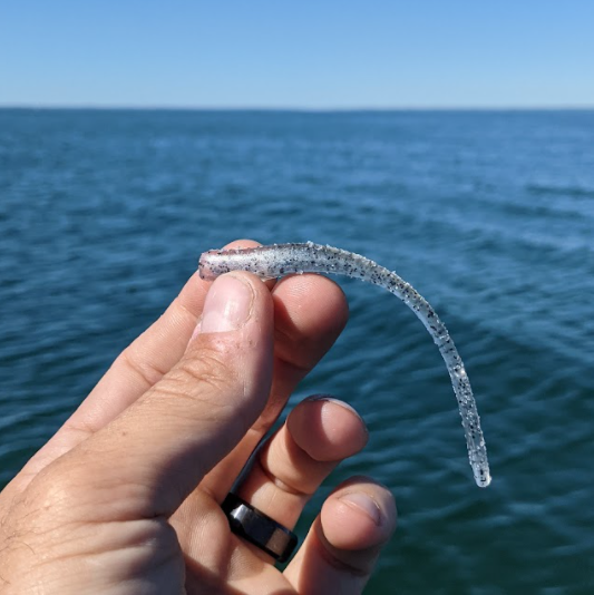 Great Lakes Finesse 4" Drop Worm (8pk)